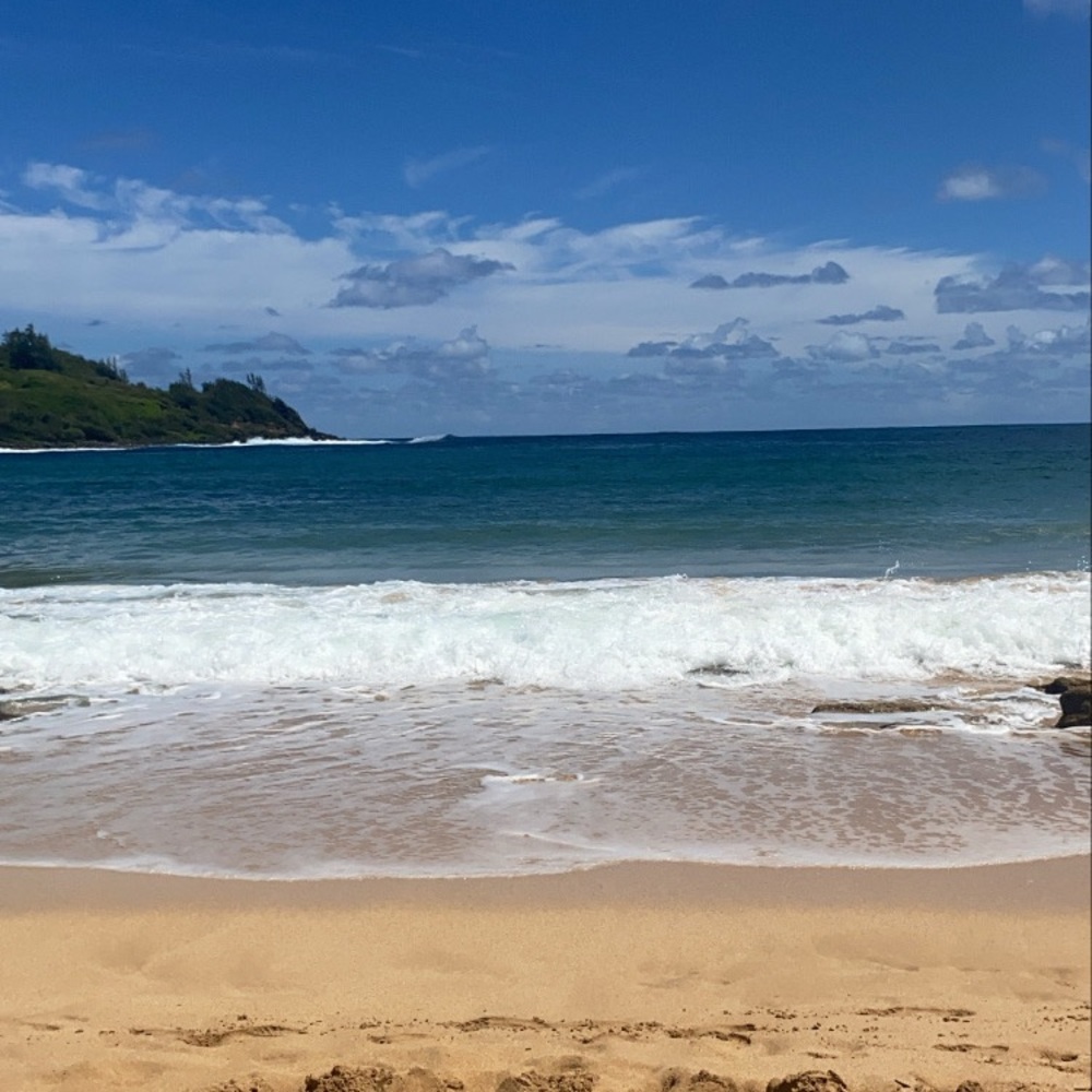 Meet your Posher, Geri